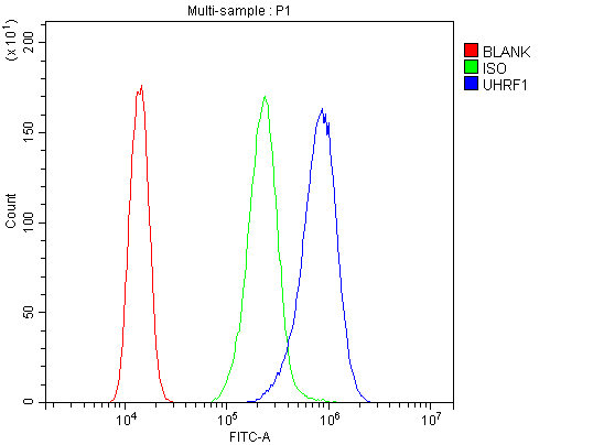 UHRF1 Antibody - Flow Cytometry analysis of A431 cells using anti-UHRF1 antibody. Overlay histogram showing A431 cells stained with anti-UHRF1 antibody (Blue line). The cells were blocked with 10% normal goat serum. And then incubated with rabbit anti-UHRF1 Antibody (1µg/10E6 cells) for 30 min at 20°C. DyLight®488 conjugated goat anti-rabbit IgG (5-10µg/10E6 cells) was used as secondary antibody for 30 minutes at 20°C. Isotype control antibody (Green line) was rabbit IgG (1µg/10E6 cells) used under the same conditions. Unlabelled sample (Red line) was also used as a control.