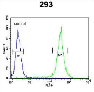 UNC13B Antibody - UNC13B Antibody flow cytometry of 293 cells (right histogram) compared to a negative control cell (left histogram). FITC-conjugated goat-anti-rabbit secondary antibodies were used for the analysis.