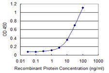 UNC13D Antibody - Detection limit for recombinant GST tagged UNC13D is 0.3 ng/ml as a capture antibody.