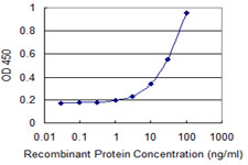 UPB1 Antibody - Detection limit for recombinant GST tagged UPB1 is 1 ng/ml as a capture antibody.