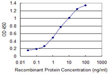 UPF3A / UPF3 Antibody - Detection limit for recombinant GST tagged UPF3A is 0.03 ng/ml as a capture antibody.