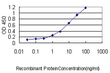 USF1 / USF Antibody - Detection limit for recombinant GST tagged USF1 is approximately 0.03 ng/ml as a capture antibody.