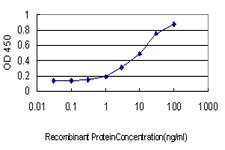 USF2 Antibody - Detection limit for recombinant GST tagged USF2 is approximately 0.3 ng/ml as a capture antibody.