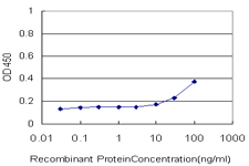 USF2 Antibody - Detection limit for recombinant GST tagged USF2 is approximately 10 ng/ml as a capture antibody.
