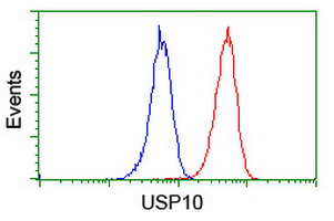 USP10 Antibody - Flow cytometry of Jurkat cells, using anti-USP10 antibody (Red), compared to a nonspecific negative control antibody (Blue).