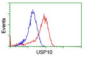 USP10 Antibody - Flow cytometry of HeLa cells, using anti-USP10 antibody (Red), compared to a nonspecific negative control antibody (Blue).