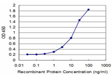 USP14 Antibody - Detection limit for recombinant GST tagged USP14 is approximately 1 ng/ml as a capture antibody.