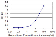 USP45 Antibody - Detection limit for recombinant GST tagged USP45 is 0.3 ng/ml as a capture antibody.