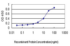 USP48 Antibody - Detection limit for recombinant GST tagged USP48 is approximately 0.3 ng/ml as a capture antibody.