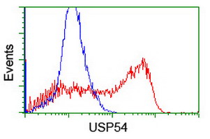 USP54 Antibody - HEK293T cells transfected with either overexpress plasmid (Red) or empty vector control plasmid (Blue) were immunostained by anti-USP54 antibody, and then analyzed by flow cytometry.