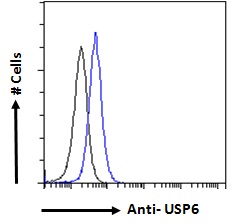 USP6 / HRP1 Antibody - USP6 / HRP1 antibody flow cytometric analysis of paraformaldehyde fixed A431 cells (blue line), permeabilized with 0.5% Triton. Primary incubation overnight (10ug/ml) followed by Alexa Fluor 488 secondary antibody (1ug/ml). IgG control: Unimmunized goat IgG (black line) followed by Alexa Fluor 488 secondary antibody.