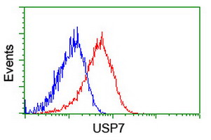 USP7 / HAUSP Antibody - Flow cytometry of HeLa cells, using anti-USP7 antibody (Red), compared to a nonspecific negative control antibody (Blue).