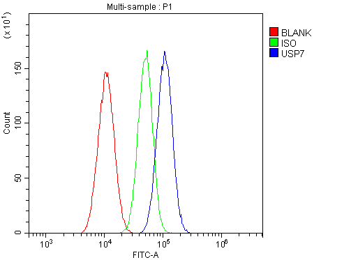 USP7 / HAUSP Antibody - Flow Cytometry analysis of A549 cells using anti-HAUSP/USP7 antibody. Overlay histogram showing A549 cells stained with anti-HAUSP/USP7 antibody (Blue line). The cells were blocked with 10% normal goat serum. And then incubated with rabbit anti-HAUSP/USP7 Antibody (1µg/10E6 cells) for 30 min at 20°C. DyLight®488 conjugated goat anti-rabbit IgG (5-10µg/10E6 cells) was used as secondary antibody for 30 minutes at 20°C. Isotype control antibody (Green line) was rabbit IgG (1µg/10E6 cells) used under the same conditions. Unlabelled sample (Red line) was also used as a control.