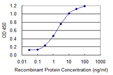 UTRN / Utrophin Antibody - Detection limit for recombinant GST tagged UTRN is 0.1 ng/ml as a capture antibody.