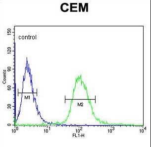 UTY Antibody - UTY Antibody flow cytometry of CEM cells (right histogram) compared to a negative control cell (left histogram). FITC-conjugated goat-anti-rabbit secondary antibodies were used for the analysis.
