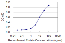 UVRAG Antibody - Detection limit for recombinant GST tagged UVRAG is 0.3 ng/ml as a capture antibody.