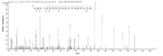 Smallpox-B5R Protein - Based on the SEQUEST from database of Baculovirus host and target protein, the LC-MS/MS Analysis result of Recombinant Truncated plaque-size/host range protein(PS/HR) could indicate that this peptide derived from Baculovirus-expressed Vaccinia virus (strain LC16m8) (VACV) PS/HR.