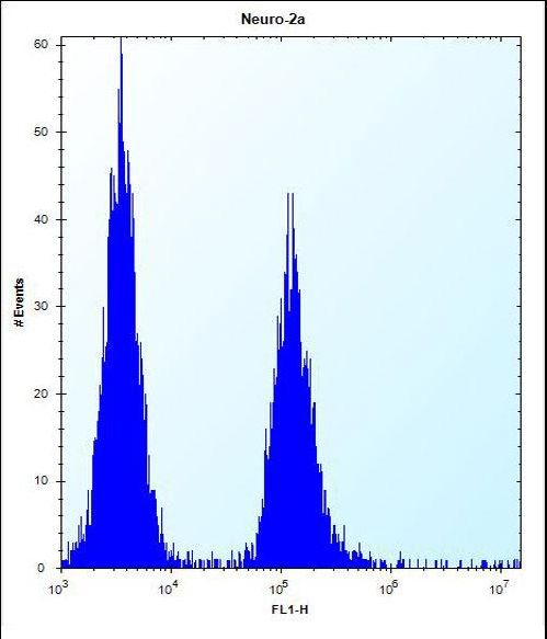 VASH2 Antibody - VASH2 Antibody flow cytometry of Neuro-2a cells (right histogram) compared to a negative control cell (left histogram). FITC-conjugated donkey-anti-rabbit secondary antibodies were used for the analysis.