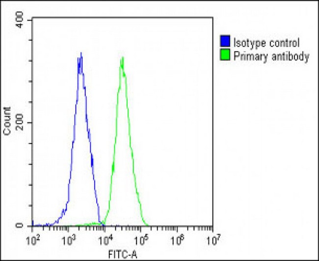 VAV2 Antibody - Overlay histogram showing Hela cells stained with VAV2 Antibody (N-Term) (green line). The cells were fixed with 2% paraformaldehyde (10 min) and then permeabilized with 90% methanol for 10 min. The cells were then icubated in 2% bovine serum albumin to block non-specific protein-protein interactions followed by the antibody (VAV2 Antibody (N-Term), 1:25 dilution) for 60 min at 37°C. The secondary antibody used was Goat-Anti-Rabbit IgG, DyLight® 488 Conjugated Highly Cross-Adsorbed (OE188374) at 1/200 dilution for 40 min at 37°C. Isotype control antibody (blue line) was rabbit IgG1 (1µg/1x10^6 cells) used under the same conditions. Acquisition of >10, 000 events was performed.