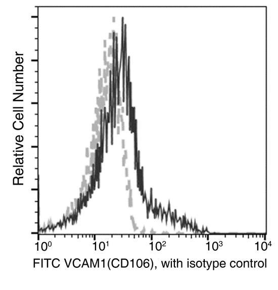 VCAM1 / CD106 Antibody - Flow cytometric analysis of Mouse VCAM1(CD106) expression on BABL/c bone marrow cells. Cells were stained with FITC-conjugated anti-Mouse VCAM1(CD106). The fluorescence histograms were derived from gated events with the forward and side light-scatter characteristics of intact cells.