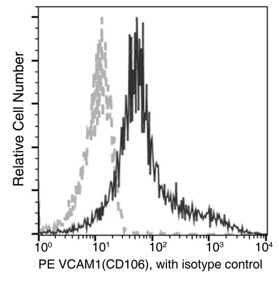 VCAM1 / CD106 Antibody - Flow cytometric analysis of Mouse VCAM1(CD106) expression on BABL/c bone marrow cells. Cells were stained with PE-conjugated anti-Mouse VCAM1(CD106). The fluorescence histograms were derived from gated events with the forward and side light-scatter characteristics of intact cells.