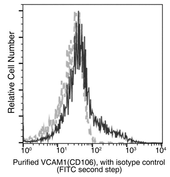 VCAM1 / CD106 Antibody - Flow cytometric analysis of Mouse VCAM1(CD106) expression on BABL/c bone marrow cells. Cells were stained with purified anti-Mouse VCAM1(CD106), then a FITC-conjugated second step antibody. The fluorescence histograms were derived from gated events with the forward and side light-scatter characteristics of intact cells.