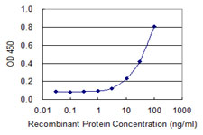 VCAM1 / CD106 Antibody - Detection limit for recombinant GST tagged VCAM1 is 1 ng/ml as a capture antibody.