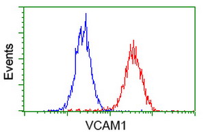 VCAM1 / CD106 Antibody - Flow cytometry of HeLa cells, using anti-VCAM1 antibody (Red), compared to a nonspecific negative control antibody (Blue).