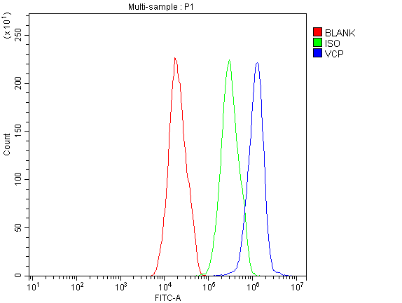 VCP Antibody - Flow Cytometry analysis of HepG2 cells using anti-VCP antibody. Overlay histogram showing HepG2 cells stained with anti-VCP antibody (Blue line). The cells were blocked with 10% normal goat serum. And then incubated with rabbit anti-VCP Antibody (1µg/10E6 cells) for 30 min at 20°C. DyLight®488 conjugated goat anti-rabbit IgG (5-10µg/10E6 cells) was used as secondary antibody for 30 minutes at 20°C. Isotype control antibody (Green line) was rabbit IgG (1µg/10E6 cells) used under the same conditions. Unlabelled sample (Red line) was also used as a control.