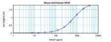 VEGFA / VEGF Antibody - Sandwich ELISA of VEGF antibody