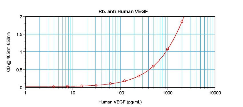 VEGFA / VEGF Antibody - Sandwich ELISA of VEGF antibody