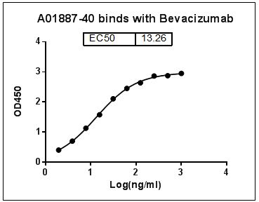 VEGFA / VEGF Antibody - Anti-Bevacizumab Antibody, pAb, Rabbit binds with Bevacizumab. Dilution: Start from 1,000 ng/ml. EC50= 13.26 ng/ml. Coating antigen: Bevacizumab. 1 µg/ml.