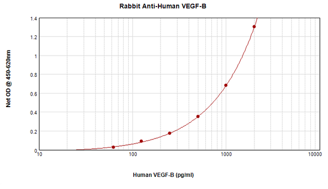 VEGFB Antibody - Anti-Human VEGF-B Sandwich ELISA
