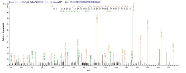 SARS-CoV Matrix Protein - Based on the SEQUEST from database of Baculovirus host and target protein, the LC-MS/MS Analysis result of Recombinant Vesicular stomatitis Indiana virus Matrix protein(M) could indicate that this peptide derived from Baculovirus-expressed Human adenovirus C serotype 5 (HAdV-5) (Human adenovirus 5) DBP.