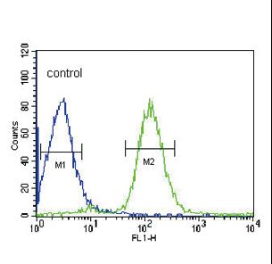VHL / Von Hippel Lindau Antibody - VHL Antibody flow cytometry of HepG2 cells (right histogram) compared to a negative control cell (left histogram). FITC-conjugated goat-anti-rabbit secondary antibodies were used for the analysis.