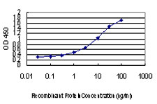 VHL / Von Hippel Lindau Antibody - Detection limit for recombinant GST tagged VHL is approximately 0.1 ng/ml as a capture antibody.