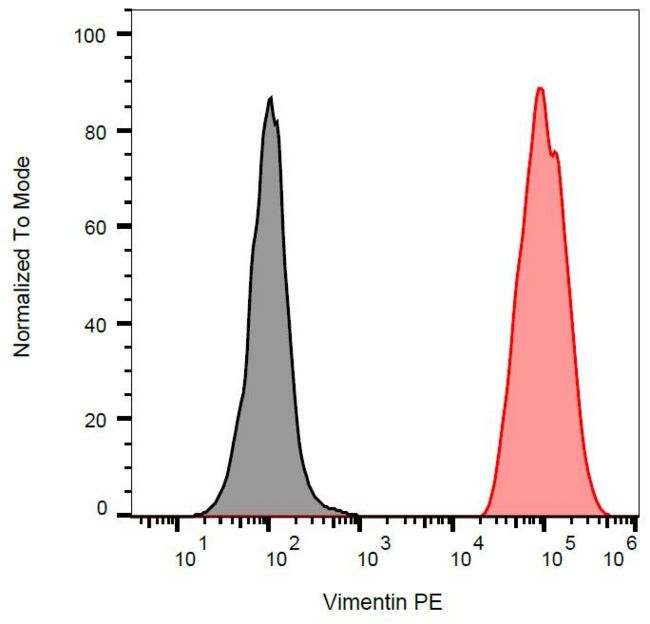 Vimentin Antibody - Intracellular flow cytometry analysis of vimentin expression in ESS-1 cells using anti-human vimentin (VI-RE/1) APC.