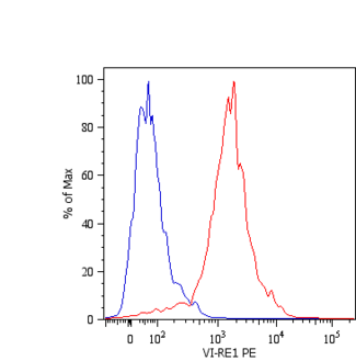 Vimentin Antibody - Intracellular flow cytometry analysis of Vimentin expression in LEP-19 human fibroblast cell line using anti-human Vimentin (VI-RE/1) PE.  Overlay with Isotype mouse IgG1 control (PPV-06).