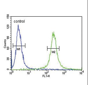 VLDLR Antibody - VLDLR Antibody flow cytometry of 293 cells (right histogram) compared to a negative control cell (left histogram). FITC-conjugated goat-anti-rabbit secondary antibodies were used for the analysis.