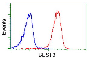 VMD2L3 / BEST3 Antibody - Flow cytometry of Jurkat cells, using anti-BEST3 antibody (Red), compared to a nonspecific negative control antibody (Blue).
