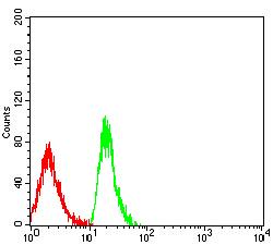 VPREB1 / CD179A Antibody - Flow cytometric analysis of MOLT4 cells using CD179A mouse mAb (green) and negative control (red).