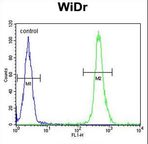 VPS26A / VPS26 Antibody - VPS26A Antibody flow cytometry of WiDr cells (right histogram) compared to a negative control cell (left histogram). FITC-conjugated goat-anti-rabbit secondary antibodies were used for the analysis.