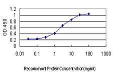 VPS72 Antibody - Detection limit for recombinant GST tagged VPS72 is approximately 0.3 ng/ml as a capture antibody.
