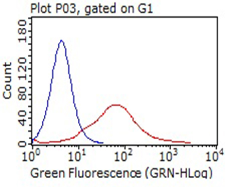 VSIR / GI24 / VISTA Antibody - HEK293T cells transfected with eitheroverexpress plasmid(Red) or empty vector control plasmid(Blue) were immunostained by anti-C10orf54 antibody, and then analyzed by flow cytometry. (1:100)