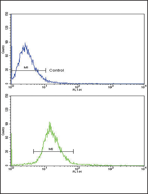 VTN / Vitronectin Antibody - Flow cytometric of NCI-H292 cells using VTN Antibody (bottom histogram) compared to a negative control cell (top histogram). FITC-conjugated goat-anti-rabbit secondary antibodies were used for the analysis.