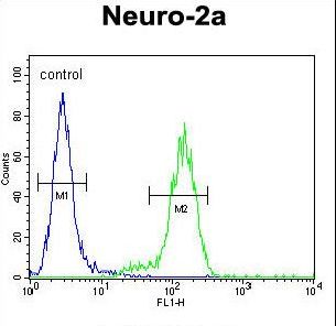 VWA3B Antibody - VWA3B Antibody flow cytometry of Neuro-2a cells (right histogram) compared to a negative control cell (left histogram). FITC-conjugated goat-anti-rabbit secondary antibodies were used for the analysis.