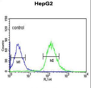 WAC Antibody - WAC Antibody flow cytometry of HepG2 cells (right histogram) compared to a negative control cell (left histogram). FITC-conjugated goat-anti-rabbit secondary antibodies were used for the analysis.