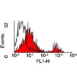 WC1 Surface Antigen Antibody - Flow cytometry of bovine peripheral blood lymphocytes with Mouse anti-Bovine WC1: FITC This image was taken for the unconjugated form of this product. Other forms have not been tested.