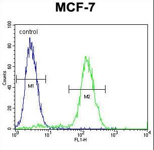WDR27 Antibody - WDR27 Antibody flow cytometry of MCF-7 cells (right histogram) compared to a negative control cell (left histogram). FITC-conjugated goat-anti-rabbit secondary antibodies were used for the analysis.