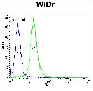 WDR5B Antibody - WDR5B Antibody flow cytometry of WiDr cells (right histogram) compared to a negative control cell (left histogram). FITC-conjugated goat-anti-rabbit secondary antibodies were used for the analysis.